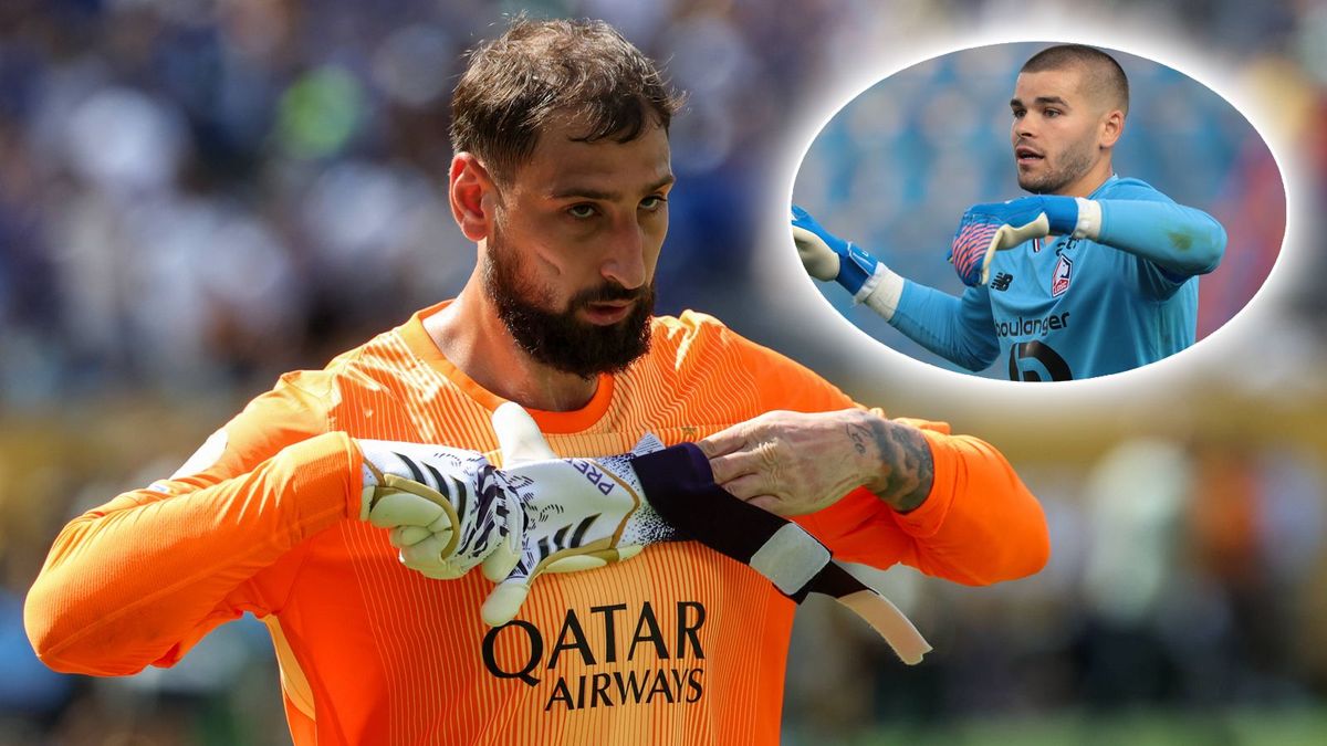 Donnarumma Chevalier