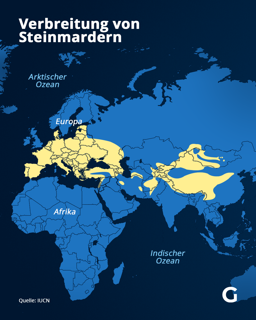 Steinmarder leben in Mitteleuropa und in Zentralasien.
