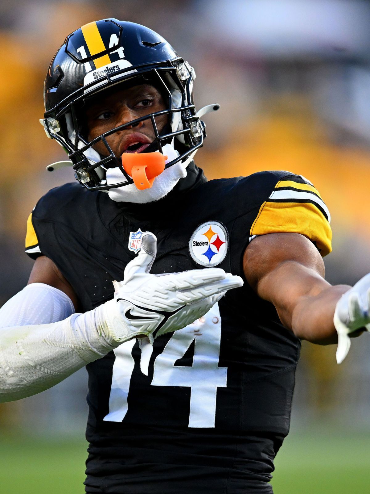 Arizona Cardinals v Pittsburgh Steelers