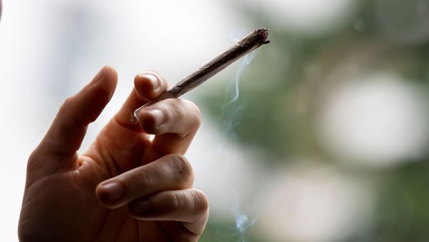 Drei Cannabis-Legalisierungs-Szenarien sind jetzt am wahrscheinlichsten.