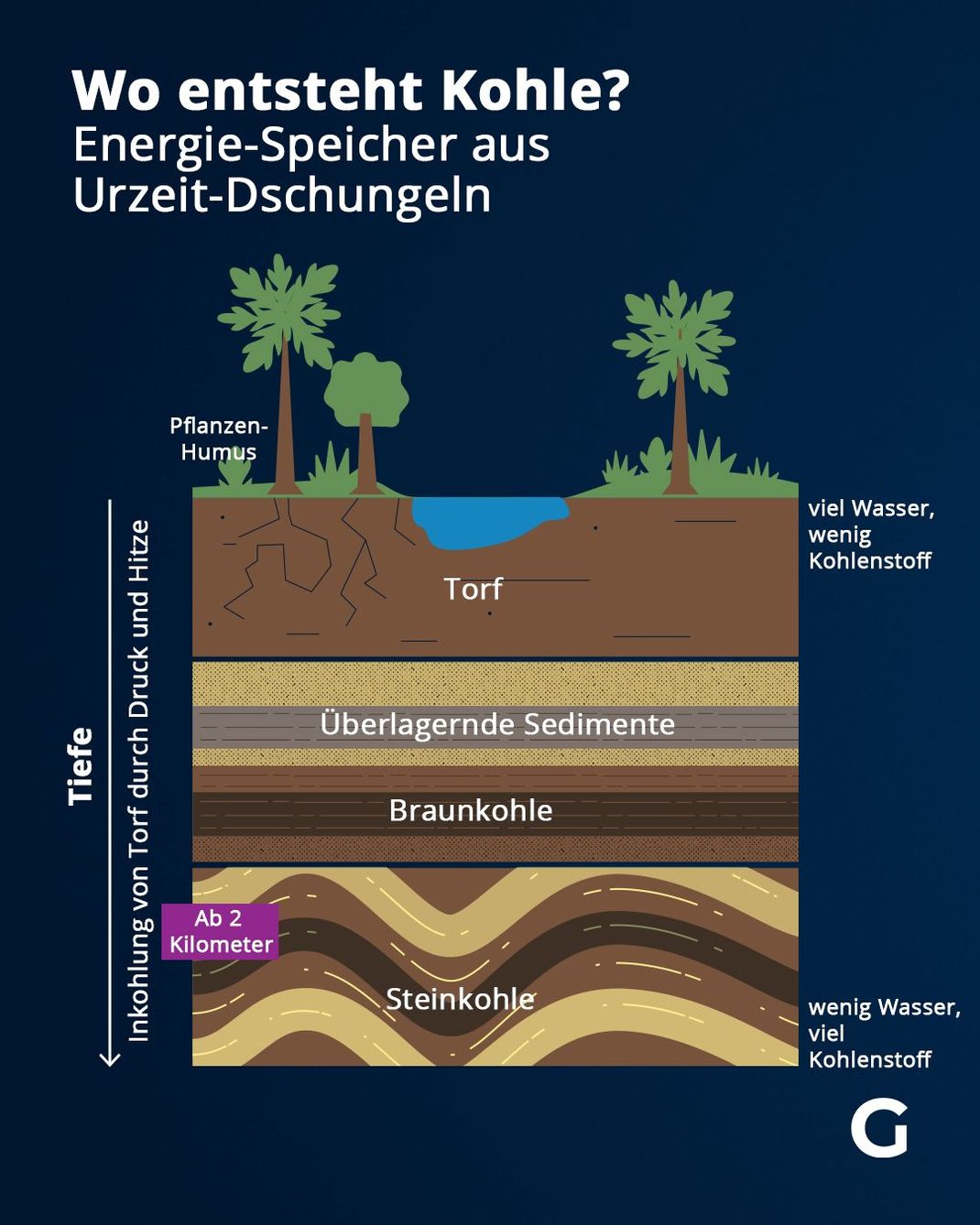 Wo entsteht Kohle? - Energie-Speicher aus Urzeit-Dschungeln