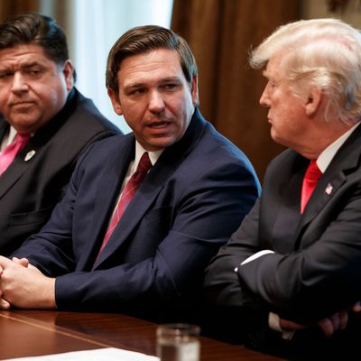 Die US-Republikaner Ron DeSantis und Donald Trump