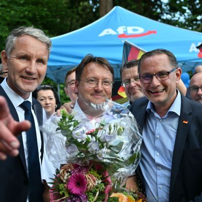 Afd siegt