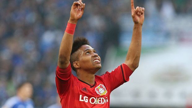 
                <strong>Wendell (Bayer Leverkusen)</strong><br>
                Wendell (20) für 6,5 Millionen Euro von Gremio Porto Alegre zu Bayer Leverkusen.
              