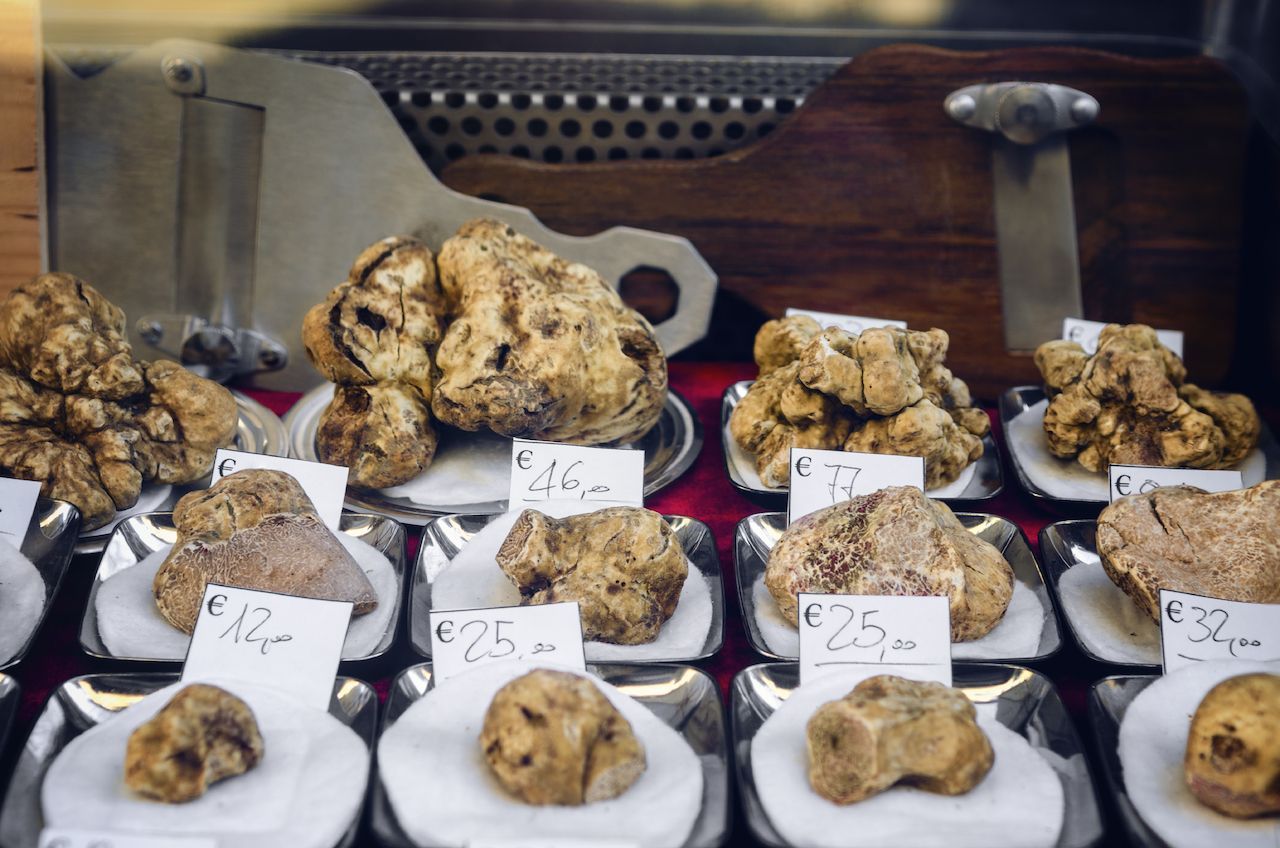 Im italienischen Städtchen Alba werden die gleichnamigen Trüffel auf dem Markt "Fiera del Tartufo Bianco d’Alba" angeboten. Rekordsumme? Bis zu 140.000 Euro für 0,75 Kilo.