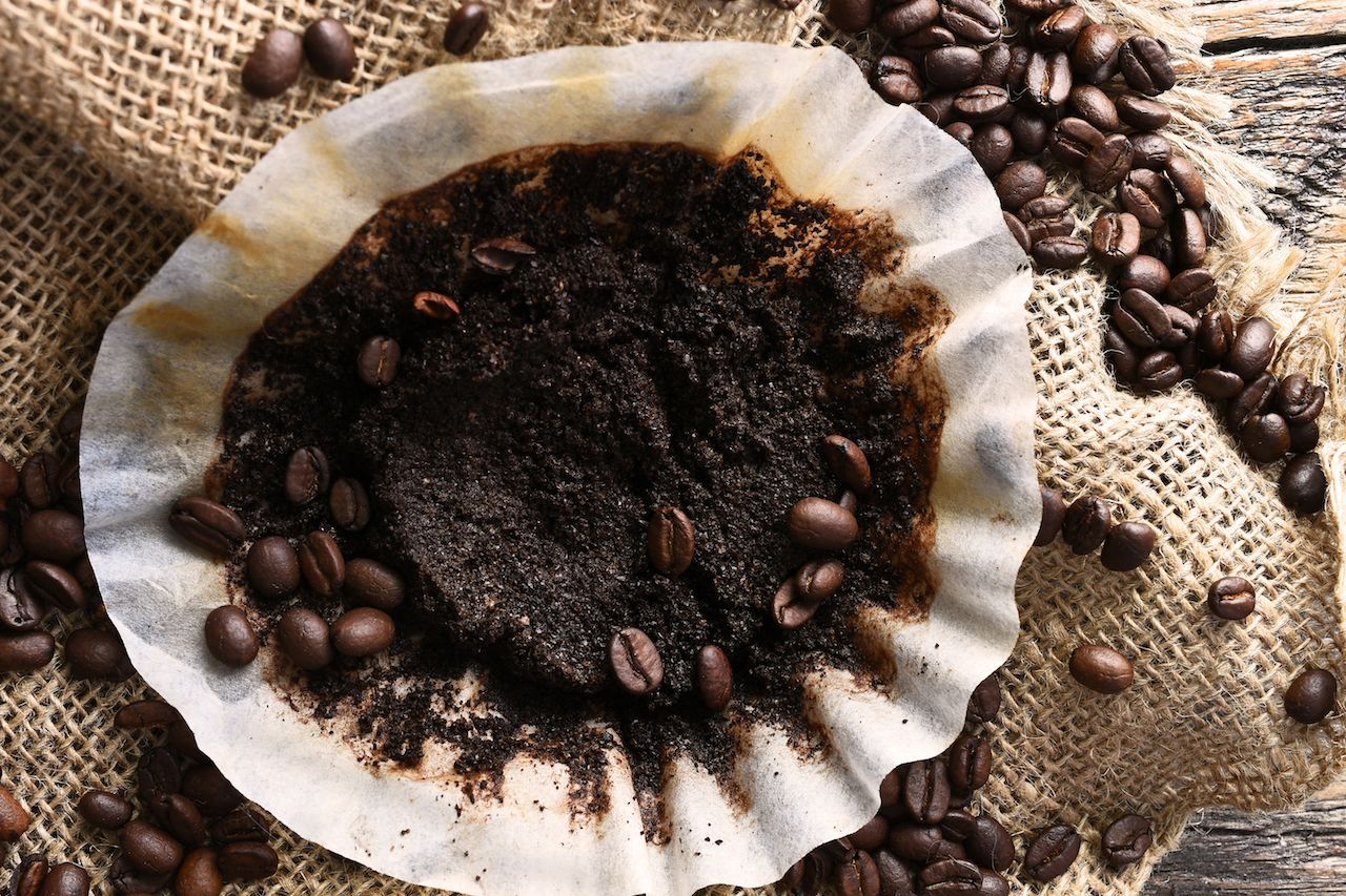Allround-Talent Kaffeesatz: Er eignet sich als Haut-Peeling, Dünger im Garten oder vertreibt üble Gerüche. Denn Kaffeesatz nimmt Fremdgerüche schnell auf. So verschwindet zum Beispiel Schweißgeruch aus Turnschuhen.