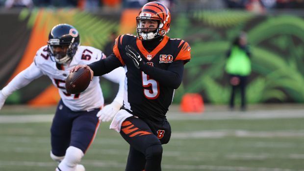 
                <strong>Buffalo Bills</strong><br>
                AJ McCarron (von den Cincinnati Bengals, neu: 10, vorher: 5)Vontae Davis (von den Indianapolis Colts, neu: 22, vorher: 21)
              