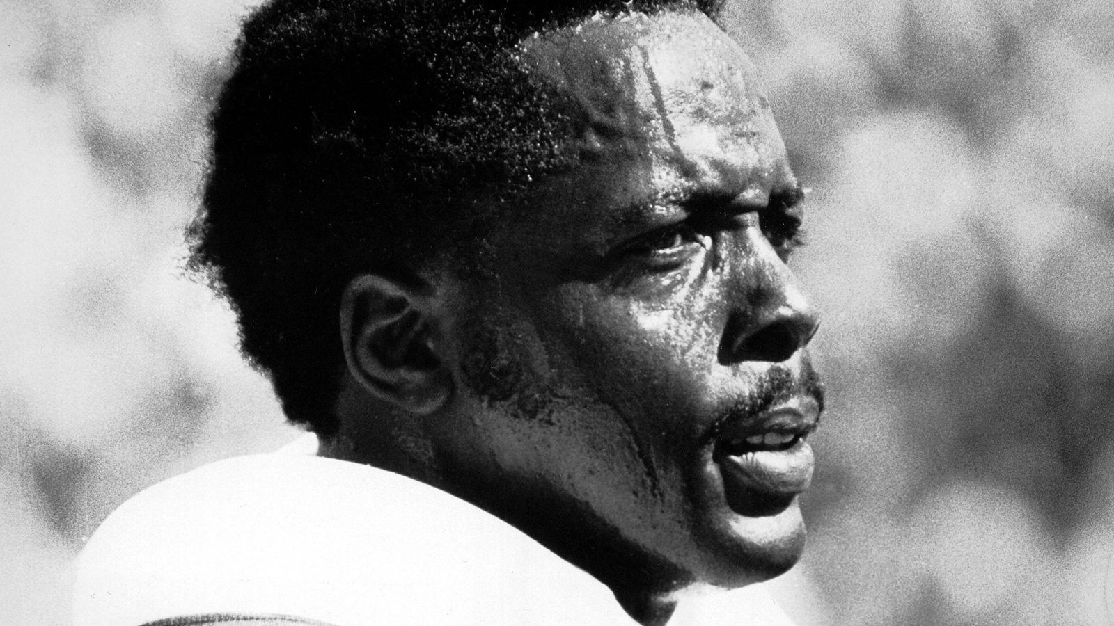 
                <strong>Deacon Jones</strong><br>
                Aktiv: 1961 - 1974Position: Defensive EndTeams: Los Angeles Rams, San Diego Chargers, Washington RedskinsErfolge: 8x Pro Bowl, 2x Defensive Player of the Year
              