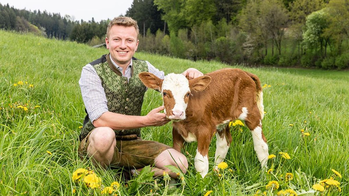 Johannes versucht sein Glück