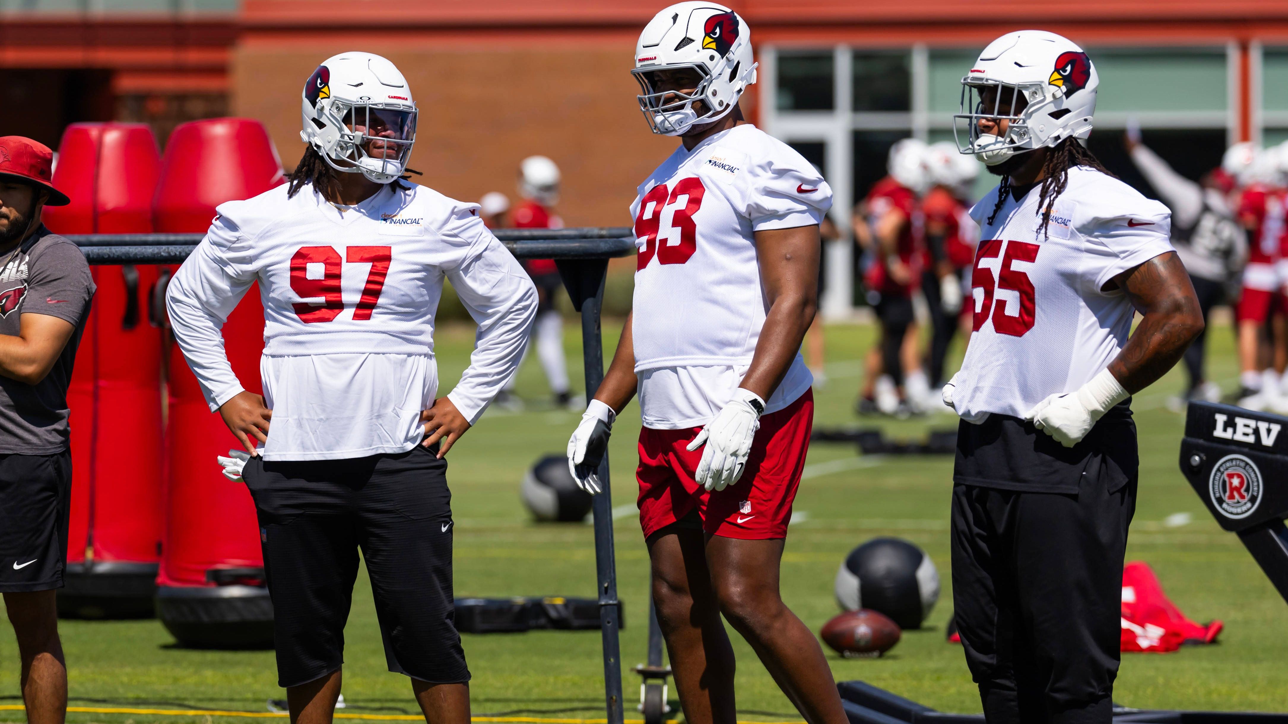 <strong>Arizona Cardinals</strong><br>Anzahl Unentschieden: 12