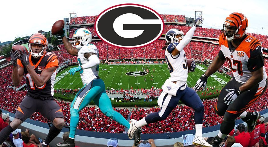 
                <strong>University of Georgia (UGA)</strong><br>
                Vier Spieler (von links nach rechts):A.J. Green, WR, Cincinnati BengalsReshad Jones, S, Miami DolphinsTodd Gurley, RB, Los Angeles RamsGeno Atkins, T, Cincinnati Bengals
              