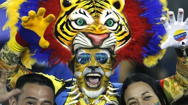 
                <strong>Brasilien vs. Kolumbien (Copa America 2015)</strong><br>
                Brasilien vs. Kolumbien (Copa America 2015): Der kolumbianische Tiger! Mit dem Kostüm in den Farben der Nationalflagge hat ein Anhänger sich besonders viel Mühe gegeben.
              
