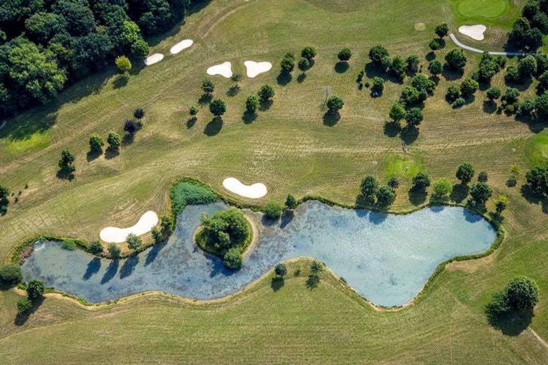 Artenschutz: Diese ungewöhnliche Rolle spielen Golfplätze