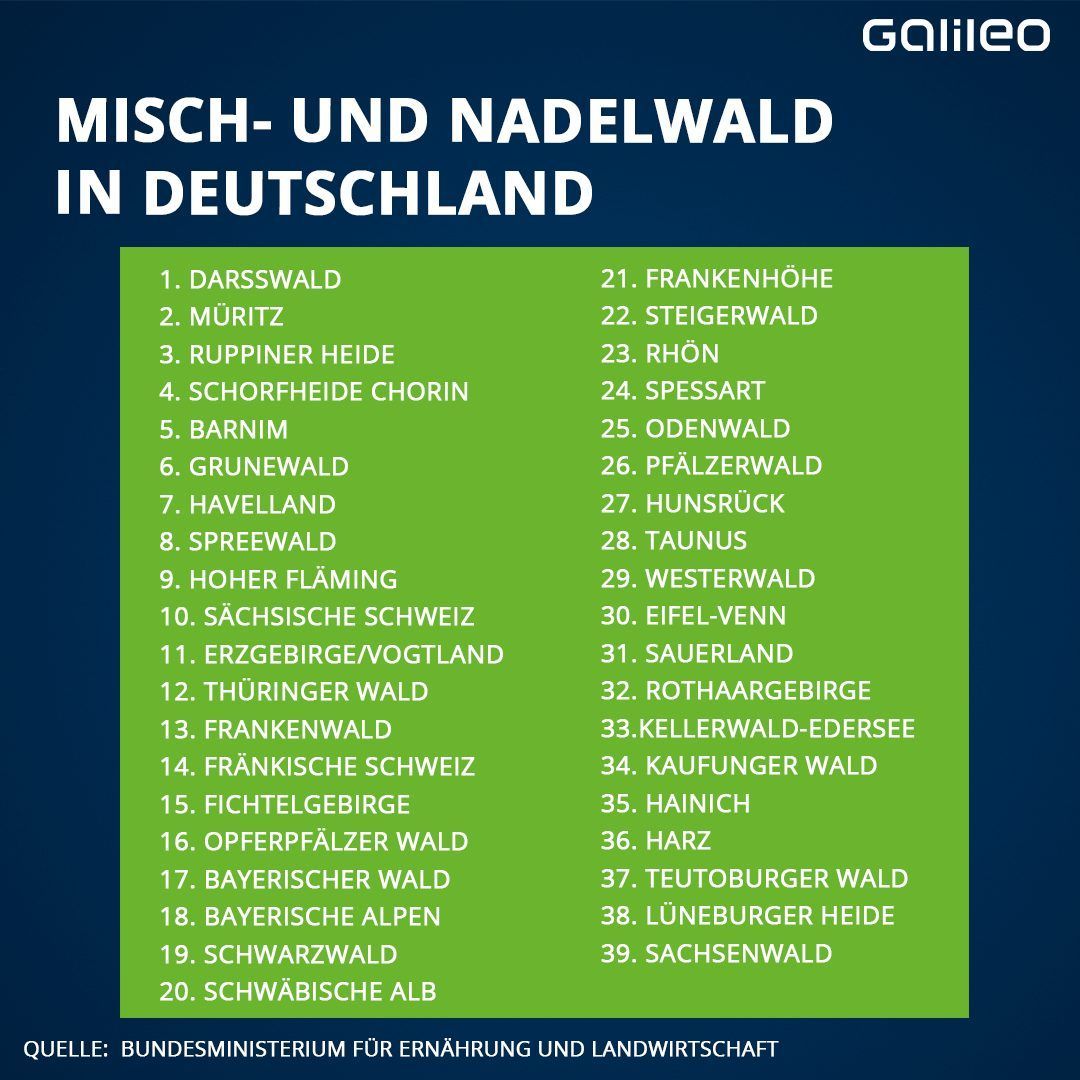 Deutsche Wälder in einer Liste zusammengefasst.