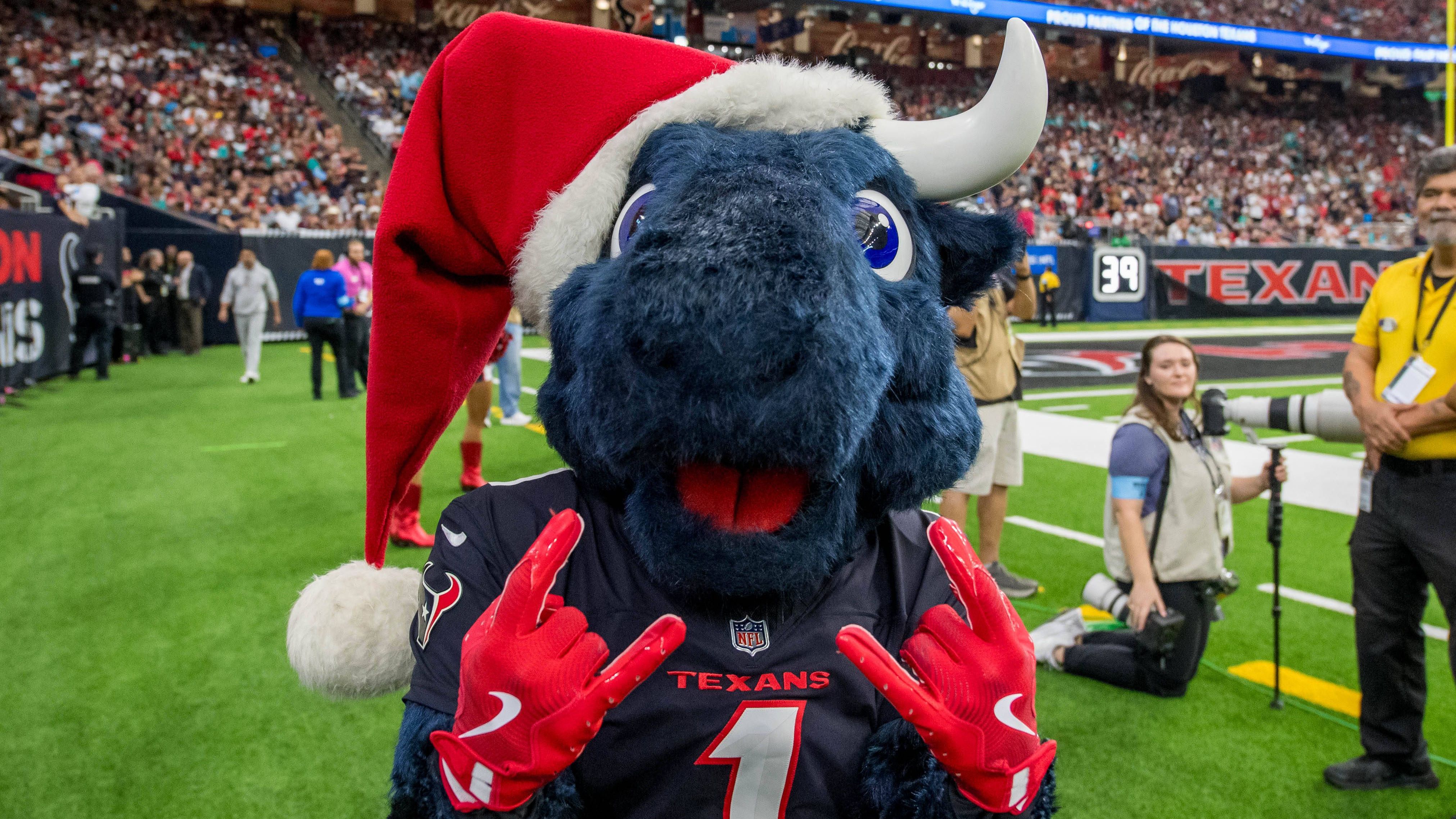 <strong>Houston Texans</strong><br>Offizielles Maskottchen: Toro<br>ChatGPT: Lone Star<br>Erklärung: Symbol für Texas-Idäntität