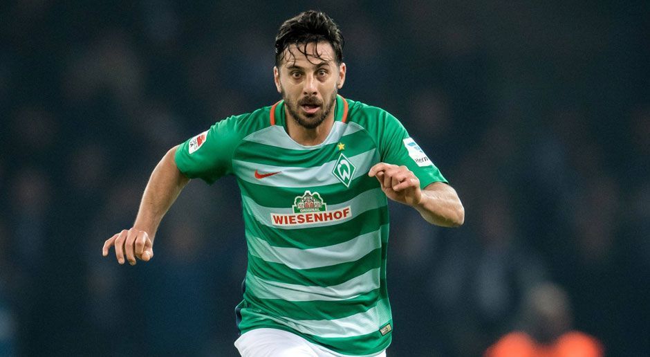 
                <strong>Claudio Pizarro (SV Werder Bremen)</strong><br>
                Claudio Pizarro (SV Werder Bremen)
              