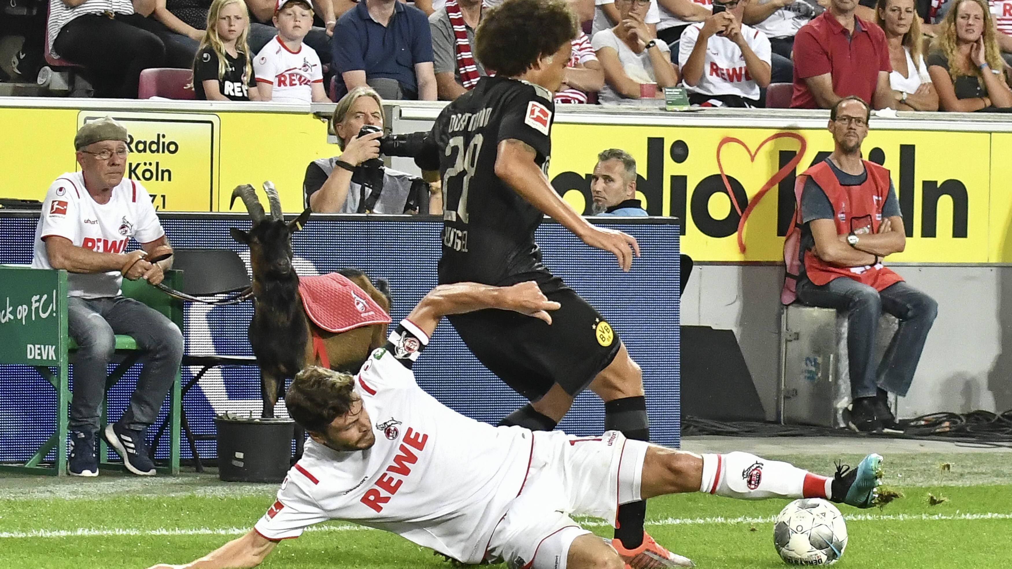 
                <strong>Axel Witsel</strong><br>
                Der Chef im Mittelfeld. Und der Aufräumer – wenn es sein muss eben auch per taktischem Foul. Lässt sich im Aufbauspiel weit nach hinten fallen, um gegen clever stehende Kölner einen Weg zu finden. Auch wenn ihm dies nicht immer gelingt, zeigt er eine solide Leistung. ran-Note: 3
              