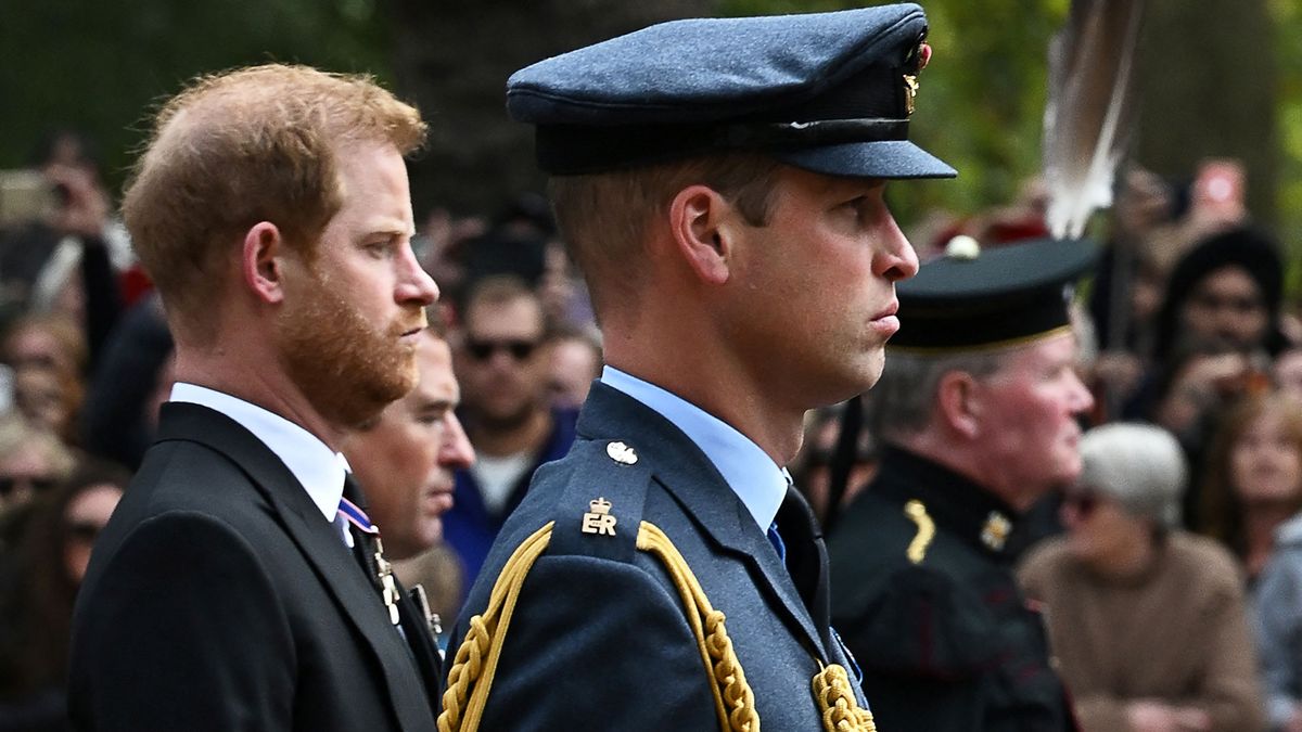 Prinz Harry und Prinz William bei der Beisetzung von Queen Elizabeth II.