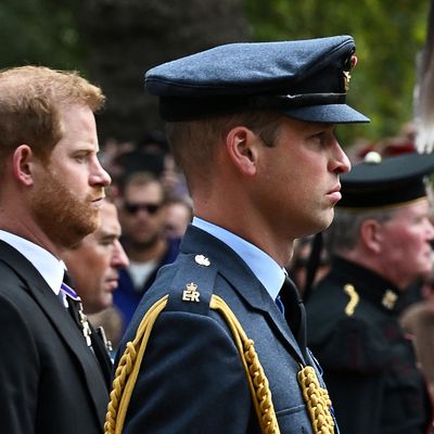 Prinz Harry und Prinz William bei der Beisetzung von Queen Elizabeth II.