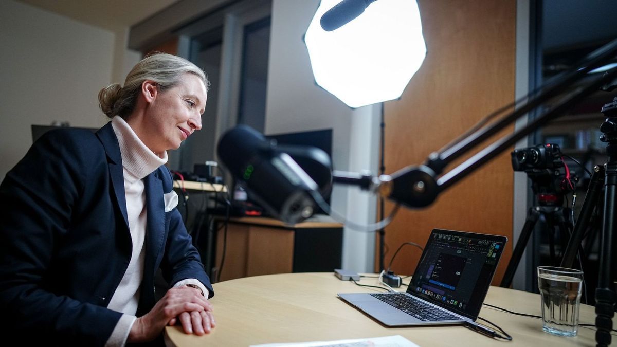 Live-Talk auf X mit Weidel und Musk