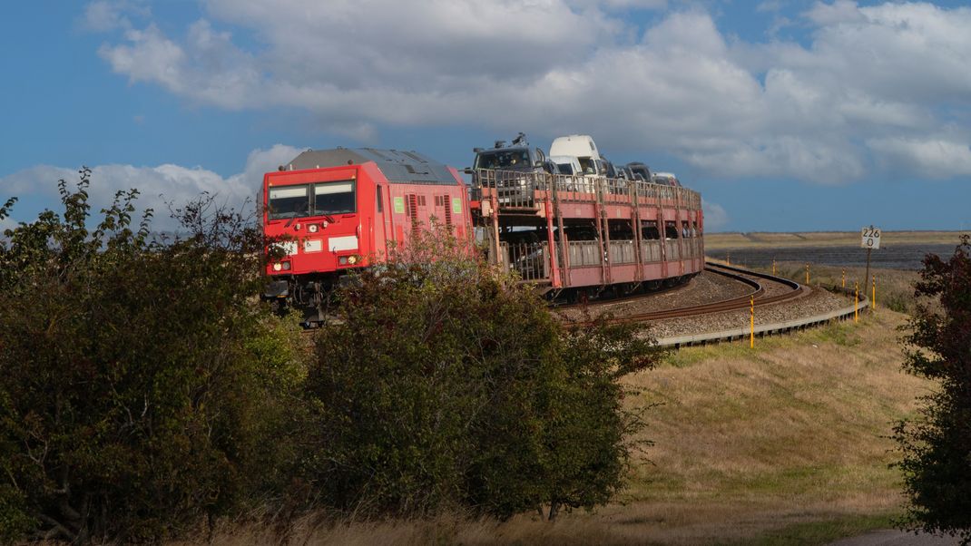 Der Autozug zwischen Niebüll und Westerland ist in eine Rinderherde gefahren. Mehrere Tiere wurden bei diesem Unfall getötet.