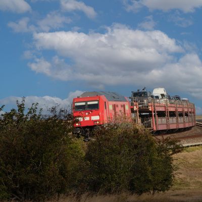 Autoreisezug auf dem Hindenburgdamm bei Morsum