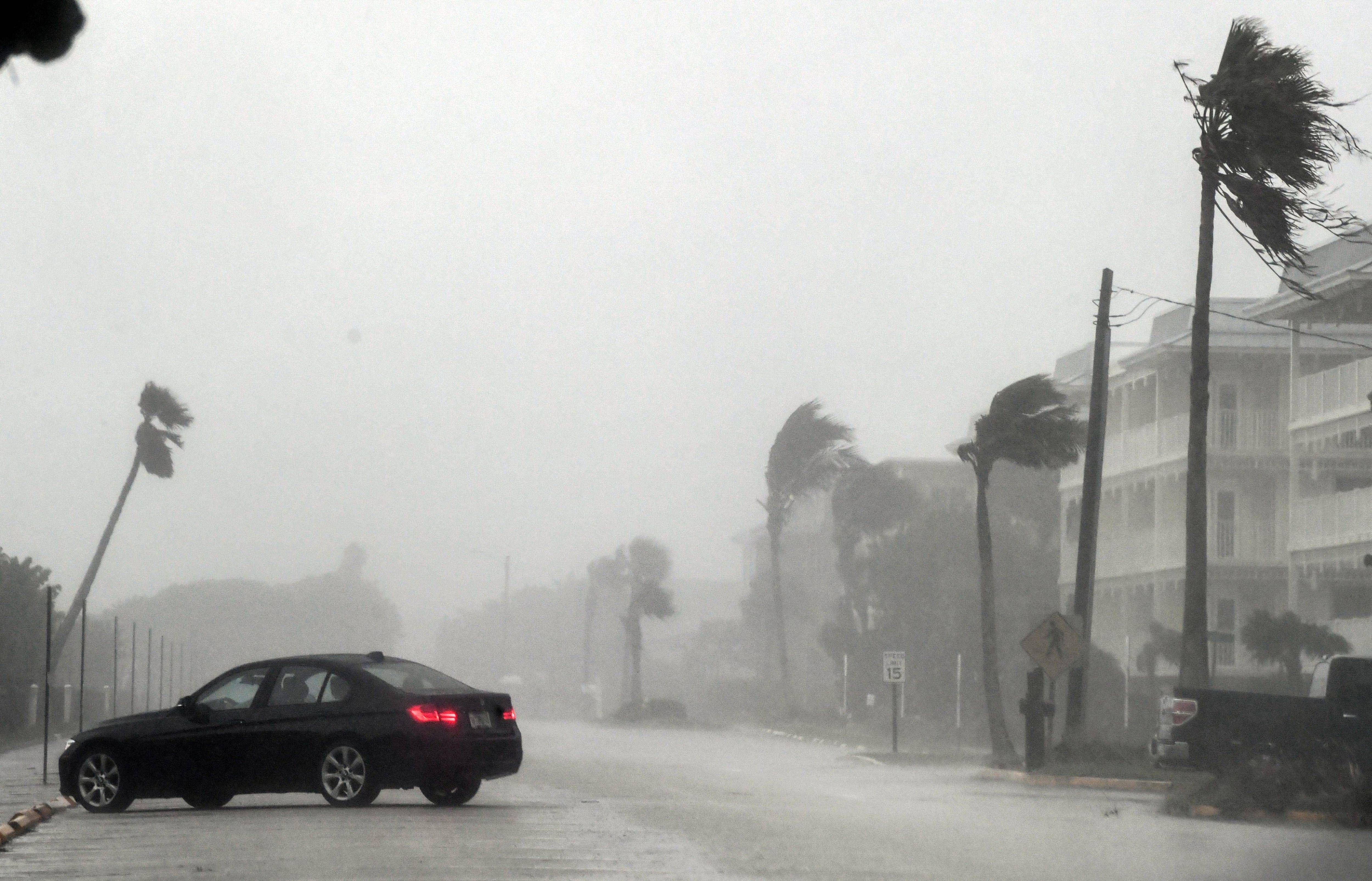 Hurrikan "Milton" sorgt für eine bedrohliche Schieflage der typischen Palmen am Straßenrand von Indialantic, Florida.