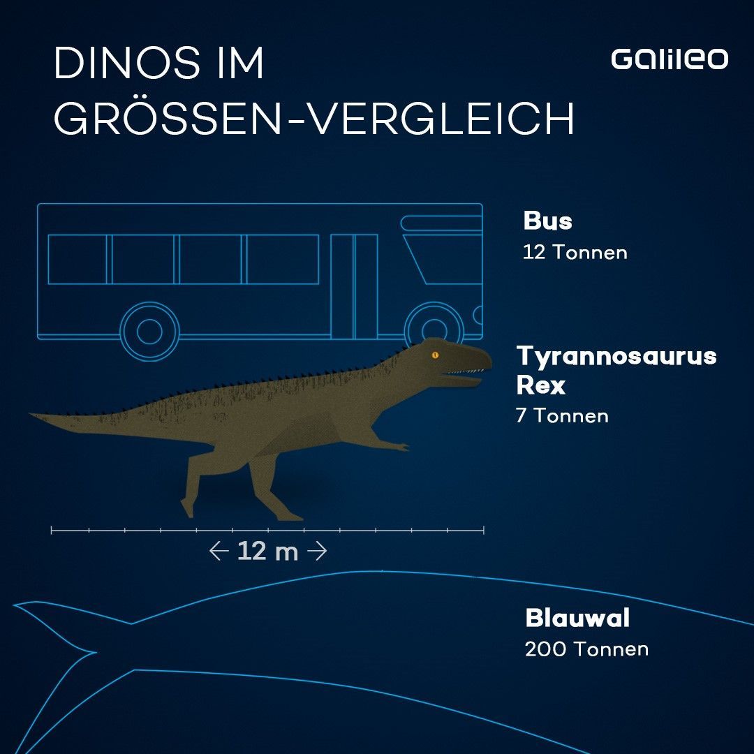 Nicht mal halb so groß wie ein Spatz: Der wohl kleinste Dino der Welt