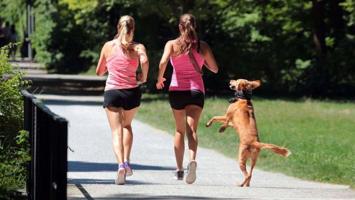 Joggen mit Hund