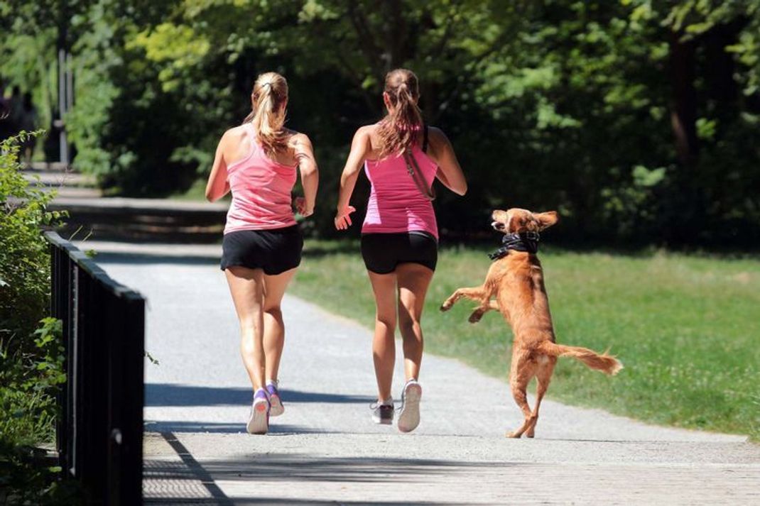 Joggen mit Hund