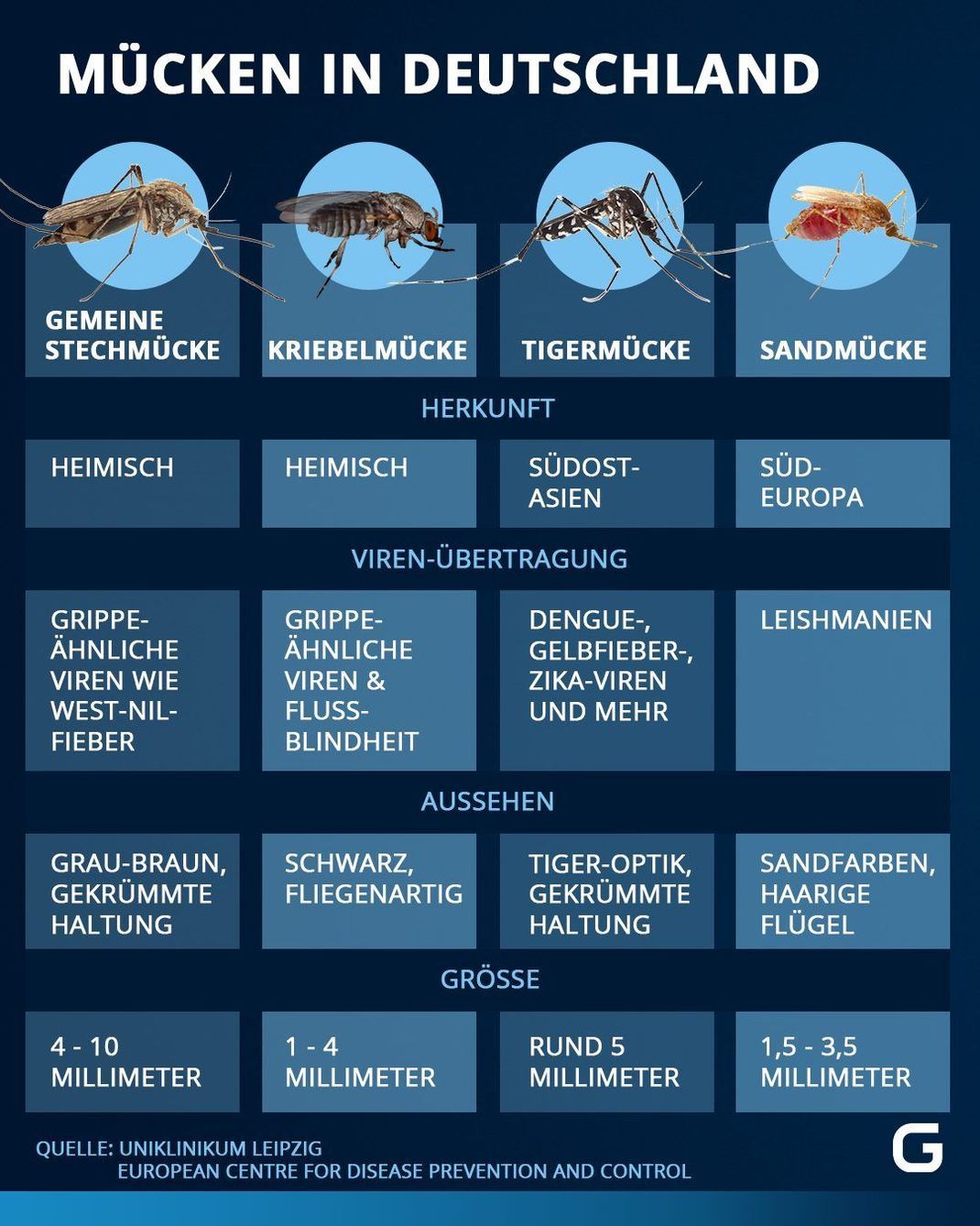 Zu den Mücken-Arten in Deutschland zählen unter anderem die gemeine Stechmücke, die Kriebelmücke, die Sandmücke und die Tigermücke. Welche Gefahren gehen von ihnen aus?