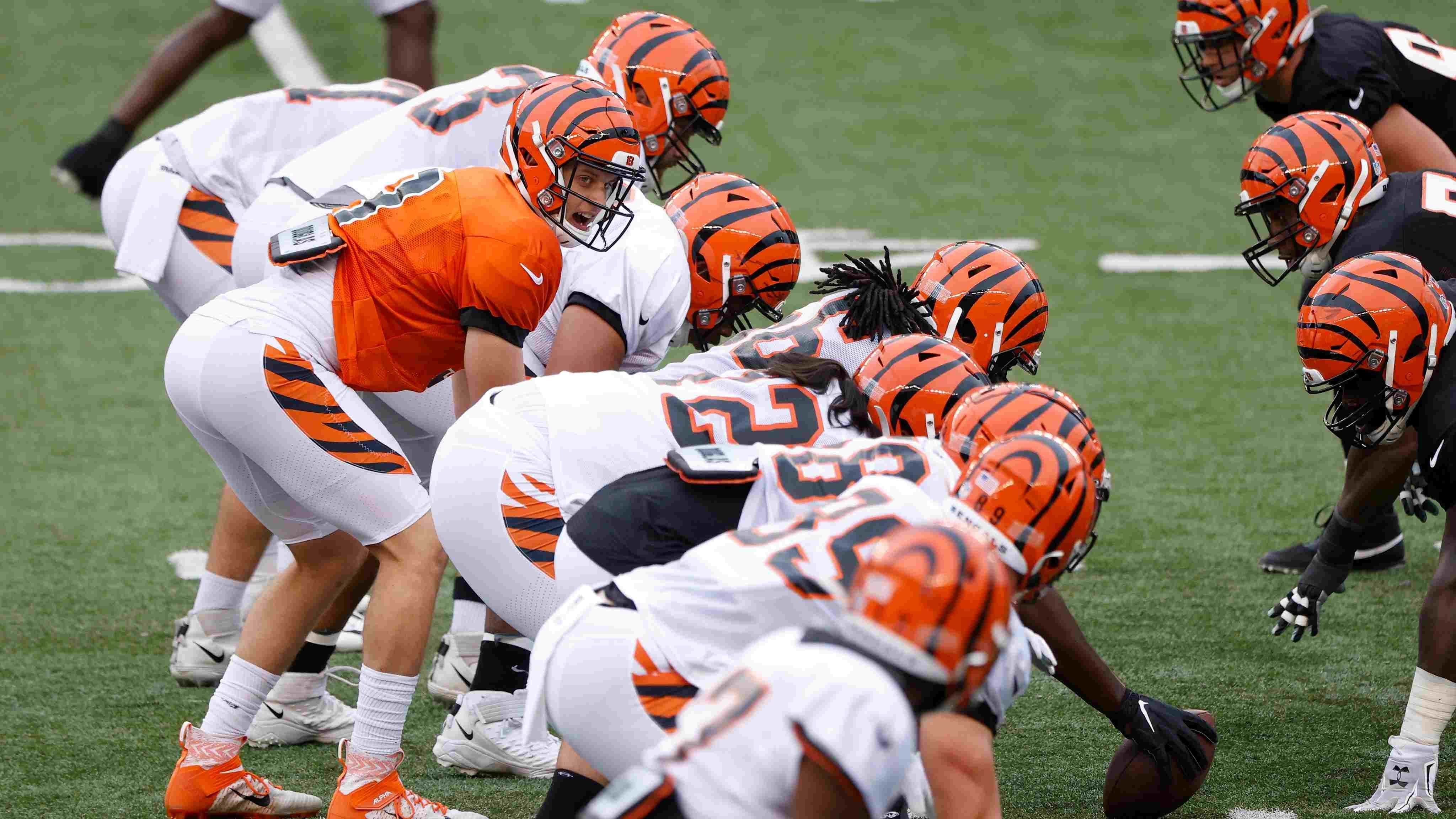 
                <strong>Cincinnati Bengals: #RuleTheJungle</strong><br>
                Instagram: @bengalsTwitter: @BengalsFacebook: @bengals
              