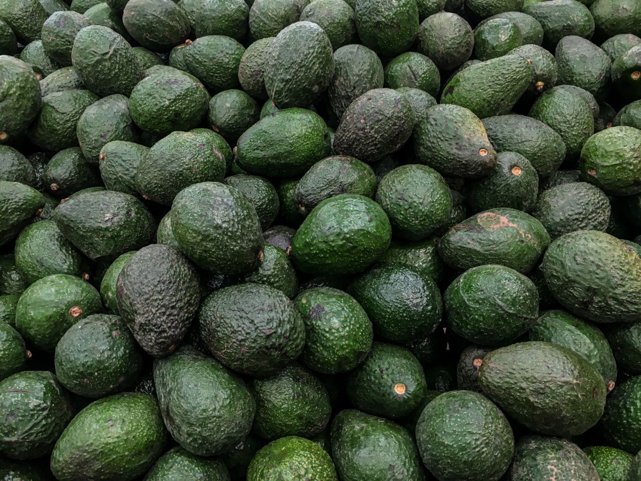 Auch die Kartelle haben den Wert der Avocado entdeckt. Die Plantagen werden bewacht wie Schätze, denn die Kriminalität steigt: Diebstahl, Handel auf dem Schwarzmarkt und Bandenkriege sind neben dem ressourcenintensiven Anbau und weiten Transportwegen die Schattenseite der "Superfrucht".