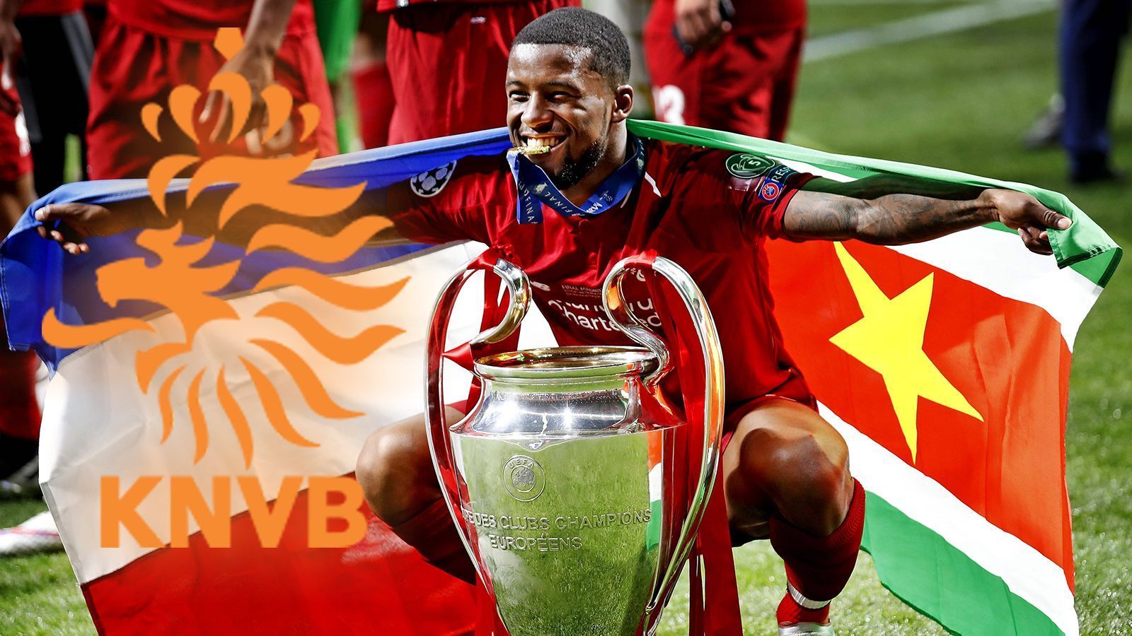 
                <strong>Niederlande: 1 Titel (26 Spieler nominiert)</strong><br>
                Georginio Wijnaldum (1)
              