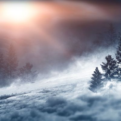 Dark winter forest background at night. Snow, fog, moonlight. Dark neon night background in the forest with moonlight. Neon figure in the center. Night view, magic.