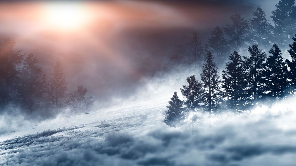 Dark winter forest background at night. Snow, fog, moonlight. Dark neon night background in the forest with moonlight. Neon figure in the center. Night view, magic.