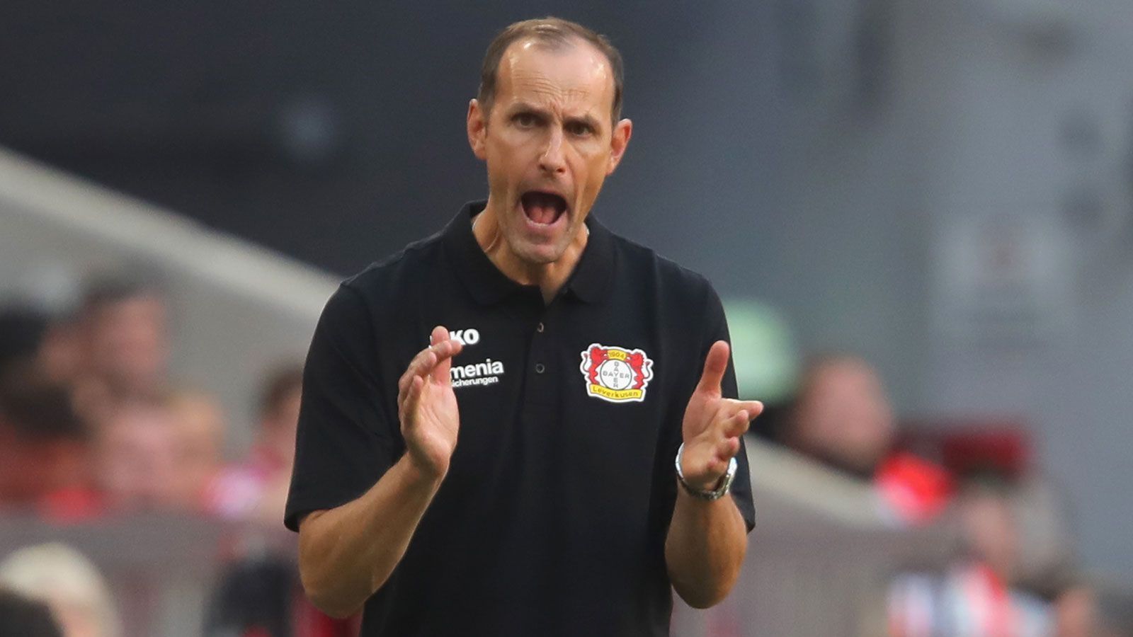 
                <strong>Heiko Herrlich</strong><br>
                Nach seiner Entlassung in der Winterpause 2018/19 bei Bayer Leverkusen ist es um Heiko Herrlich ruhig geworden. Der frühere Stürmer steht quasi in Lauerstellung. Schon im Sommer hatte er via "Bild" verlauten lassen, bereit für einen neuen Job zu sein. "Aber es muss ganz einfach passen", so Herrlich damals. Vielleicht ist Köln ja die richtige Adresse.
              