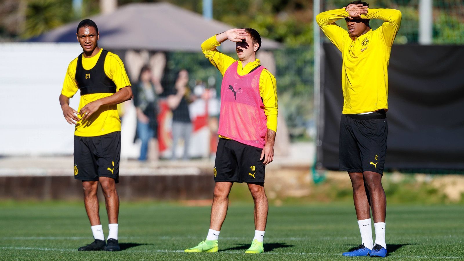 
                <strong>Borussia Dortmund</strong><br>
                Alle drei Testspiele in der Winterpause gewonnen. Neues Talent - Leonardo Balerdi (19) - vom argentinischen Erstligisten Boca Juniors geholt. Die Verletzten Abdou Diallo und Dan-Axel Zagadou sind wieder fit und Manuel Akanji konnte die drohende Hüft-OP abwenden.Auch Kapitän Marco Reus, der mit Magenproblemen vorzeitig aus dem Trainingslager in Marbella abgereist war, ist am Samstag einsatzbereit. Die Zeichen stehen gut für den BVB.
              