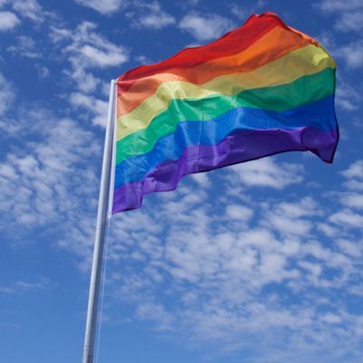 Stadtvertretung Neubrandenburg verbietet Rainbowflags