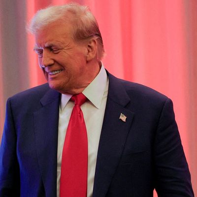 Der künftige US-Präsident Donald Trump hat zwei weitere überraschende Personalien für sein Kabinett bekanntgegeben. 