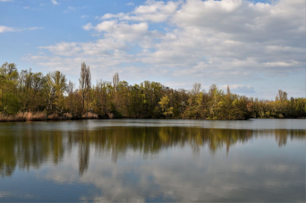 Die Suche nach dem Vermissten im Auensee soll am Mittwoch (7. August) fortgesetzt werden. (Symbolbild).