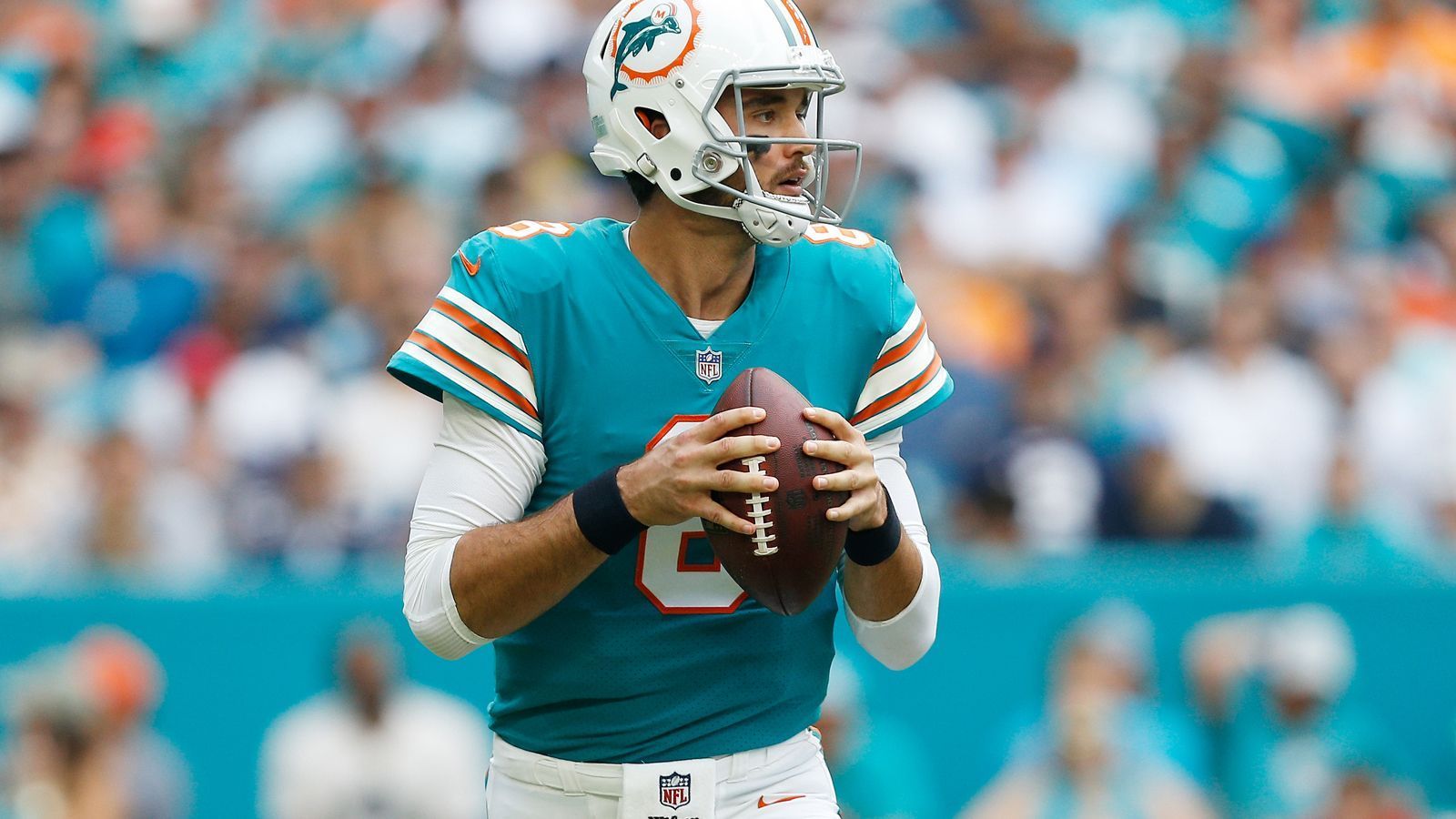 
                <strong>Brock Osweiler</strong><br>
                Position: QuarterbackVorheriger Klub: Miami DolphinsIn der NFL seit: 2012Verdienst 2018: 880.000 Dollar
              