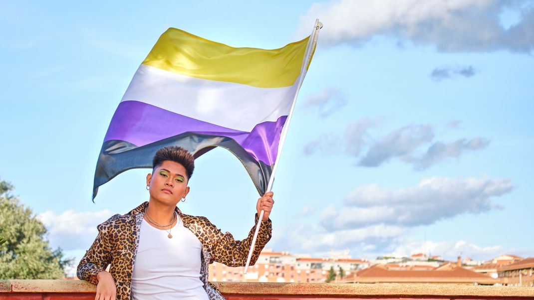 Non Binary Flag: Gelb, Weiß, Lila und Schwarz.