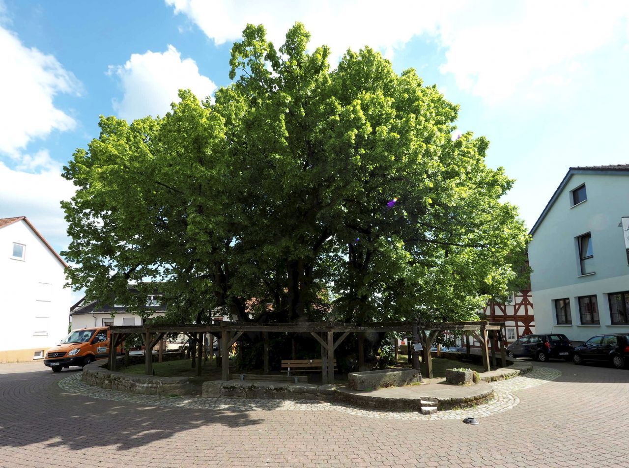 Im hessischen Schenklengsfeld steht eine uralte Linde im Dorf. Sie soll knapp 1.300 Jahre alt sein - und wäre damit der älteste Baum Deutschlands. Sie stand schon um 800, als Karl der Große zum ersten abendländischen Kaiser des Mittelalters wurde und Staaten wie Deutschland und Frankreich noch gar nicht als solche existierten.