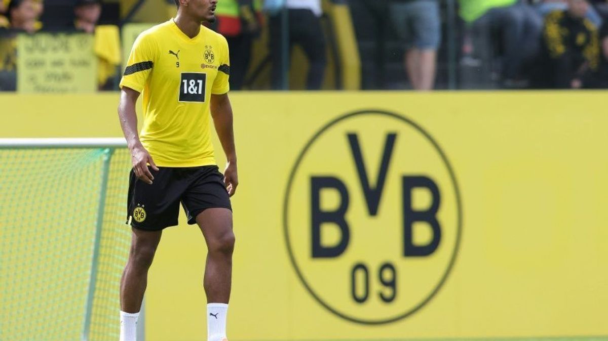 Bei Haller wurde ein Tumor im Hoden entdeckt