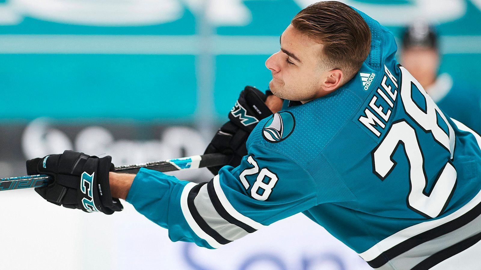 
                <strong>Timo Meier: Ein Schweizer ist der Top-Scorer der Sharks</strong><br>
                Überhaupt sind deutschsprachige Spieler bei den Sharks stark vertreten. Der Schweizer Timo Meier war vergangene Saison mit 35 Toren der beste Torjäger seiner Mannschaft, außerdem mit 76 Torbeteiligungen der Top-Scorer der Sharks. Der Flügelstürmer spielt seit dem Jahre 2016 für die Sharks und war nie für ein anderes NHL-Team aktiv.
              