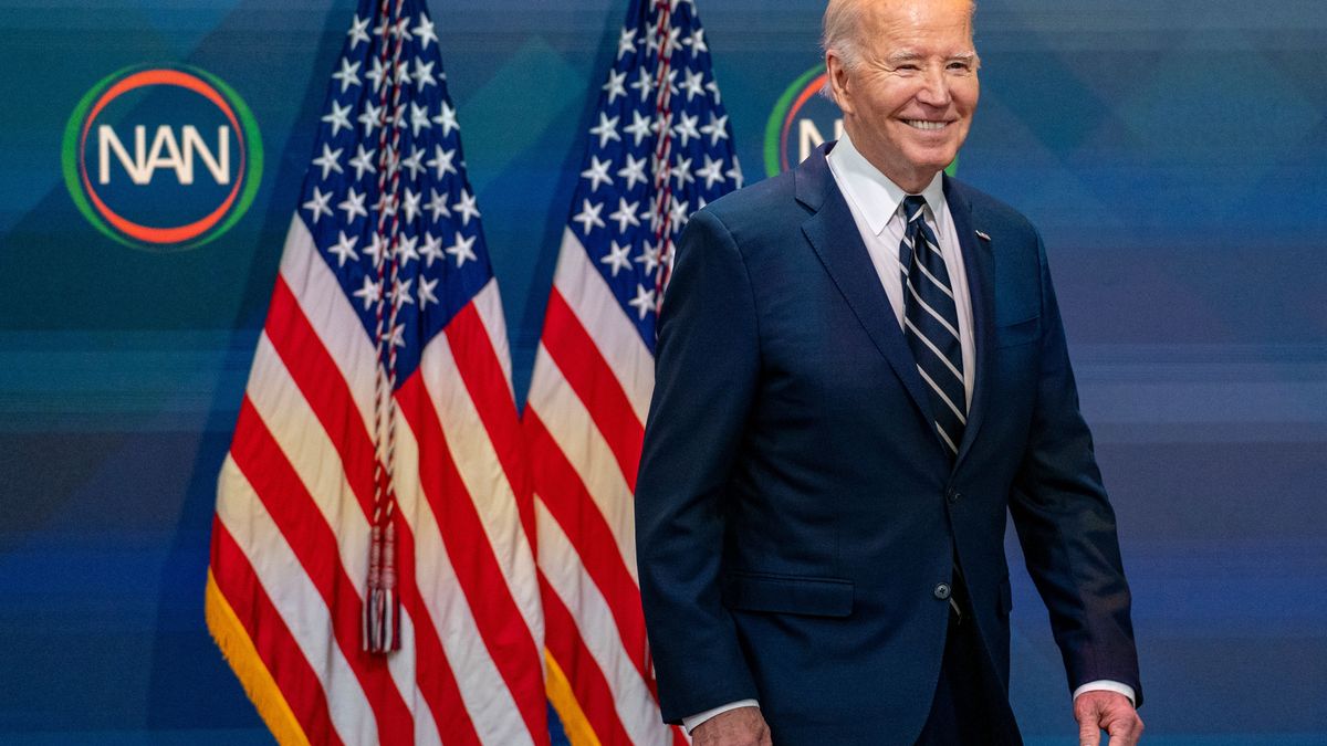 Demokratische Partei Demokraten Joe Biden 457613707