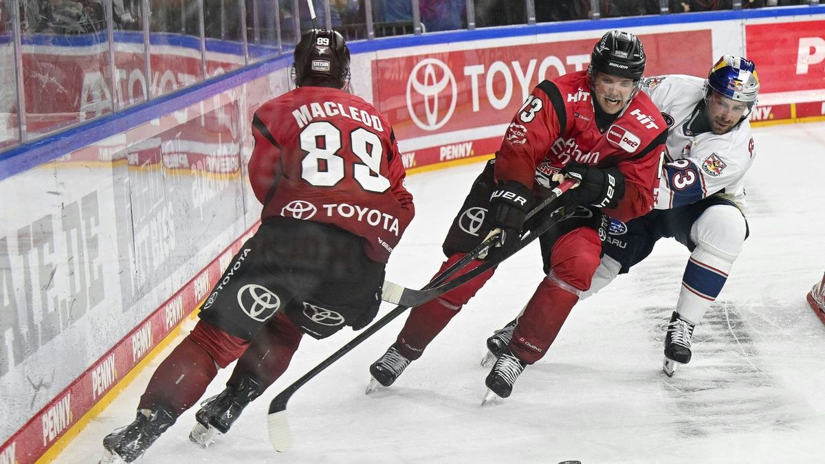 MacLeod (l.) und Kemiläinen (M.) bleiben bei KEC