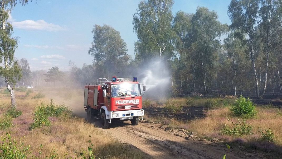 Die Waldgrabendgefahr in Brandenburg ist besonders hoch.