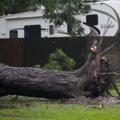 Sturm «Beryl» in den USA